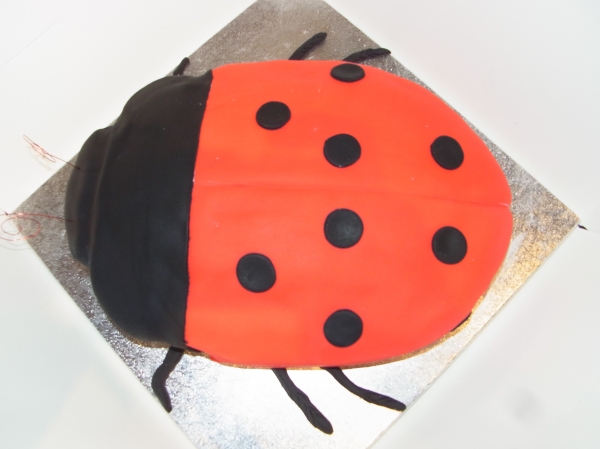 Ladybird Cake